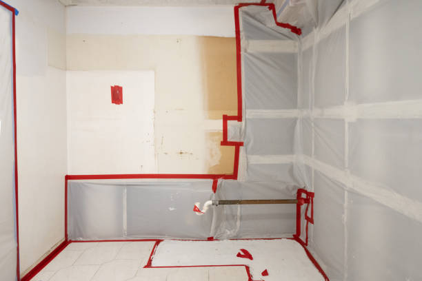 Best Water Damage & Mold Remediation  in Millbourne, PA