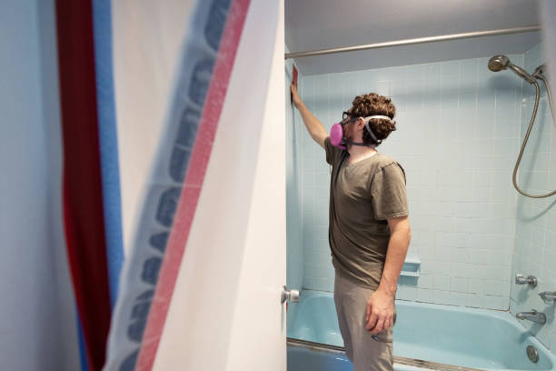 Best Post-Construction Mold Inspection  in Millbourne, PA