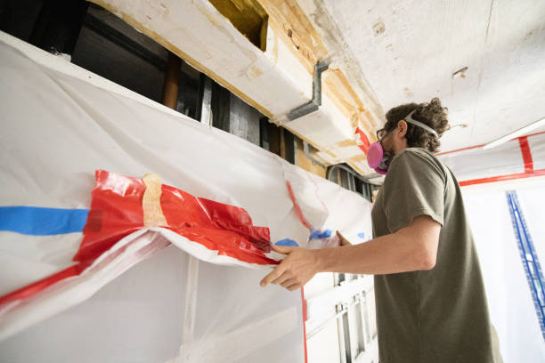 Professional Mold Removal in Millbourne, PA