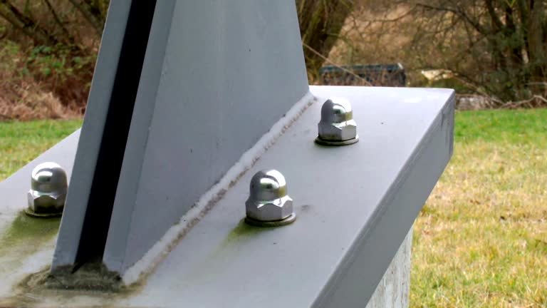 Mold Documentation for Insurance Claims in Millbourne, PA